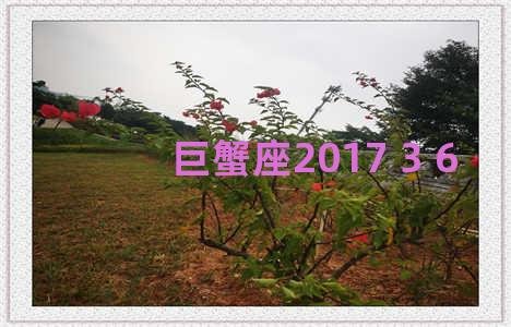 巨蟹座2017 3 6